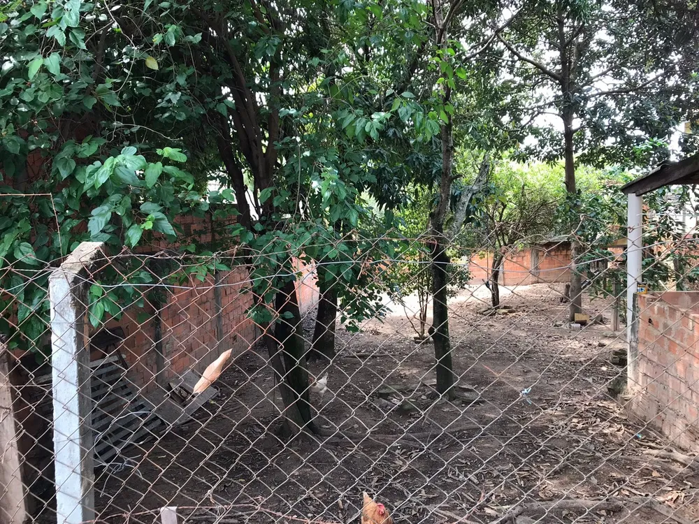 Terreno, 200 m² - Foto 6