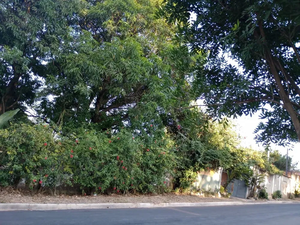 Chácara, 2 quartos, 1000 m² - Foto 3