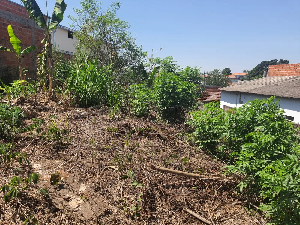 Terreno, 250 m² - Foto 3