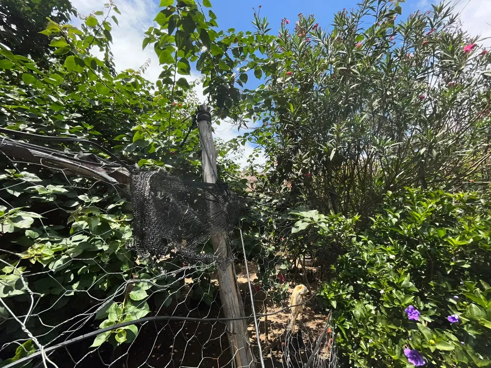 Casa, 3 quartos, 120 m² - Foto 6