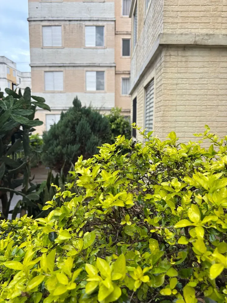 Apartamento, 2 quartos, 45 m² - Foto 2