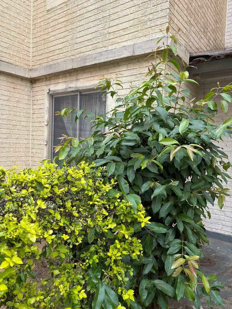 Apartamento, 2 quartos, 45 m² - Foto 3