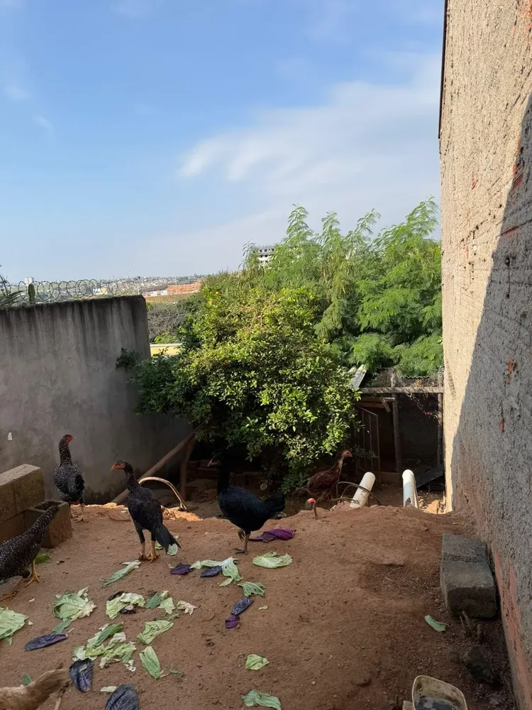 Casa, 2 quartos, 80 m² - Foto 6