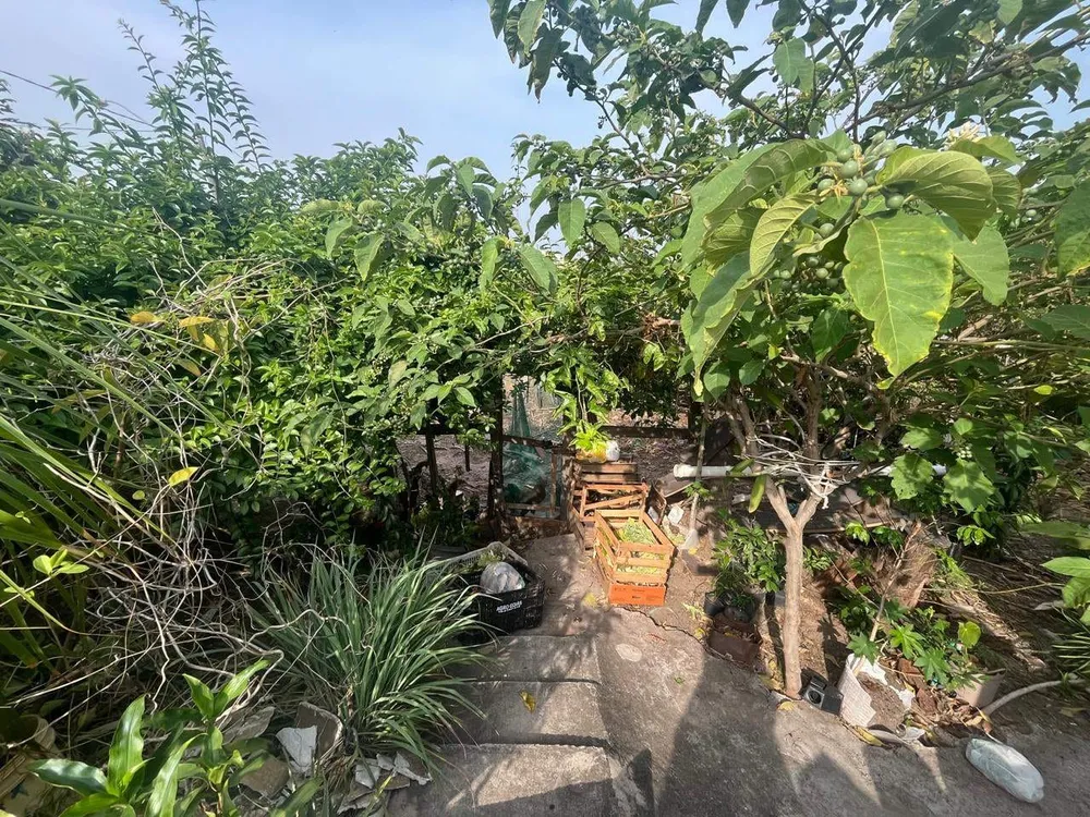 Terreno, 250 m² - Foto 5