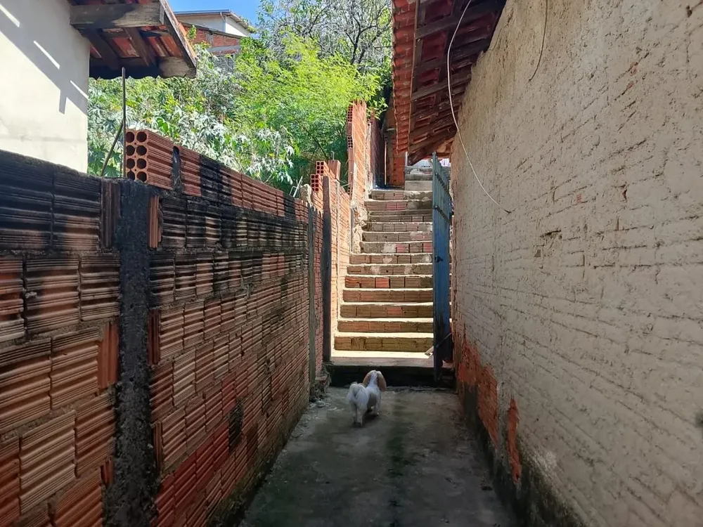 Casa, 3 quartos, 310 m² - Foto 1