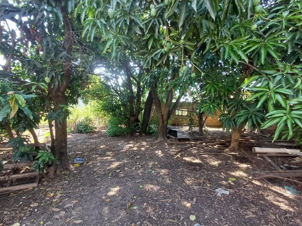Chácara, 2 quartos, 1000 m² - Foto 8