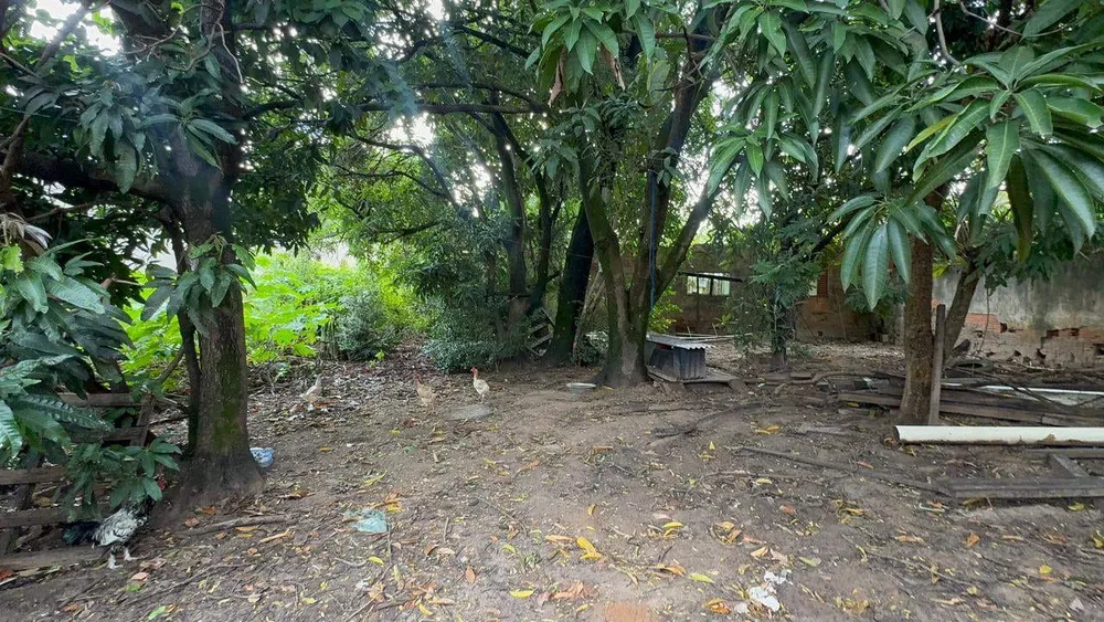 Chácara, 2 quartos, 1000 m² - Foto 6