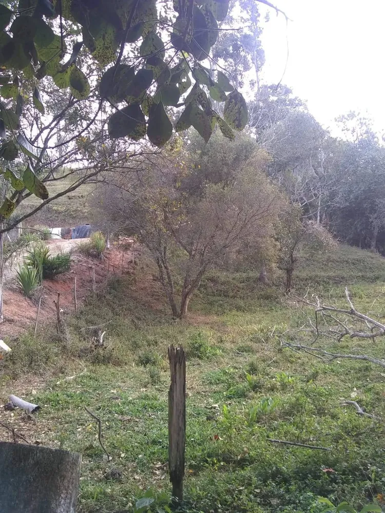Chácara, 2 quartos, 3200 m² - Foto 3