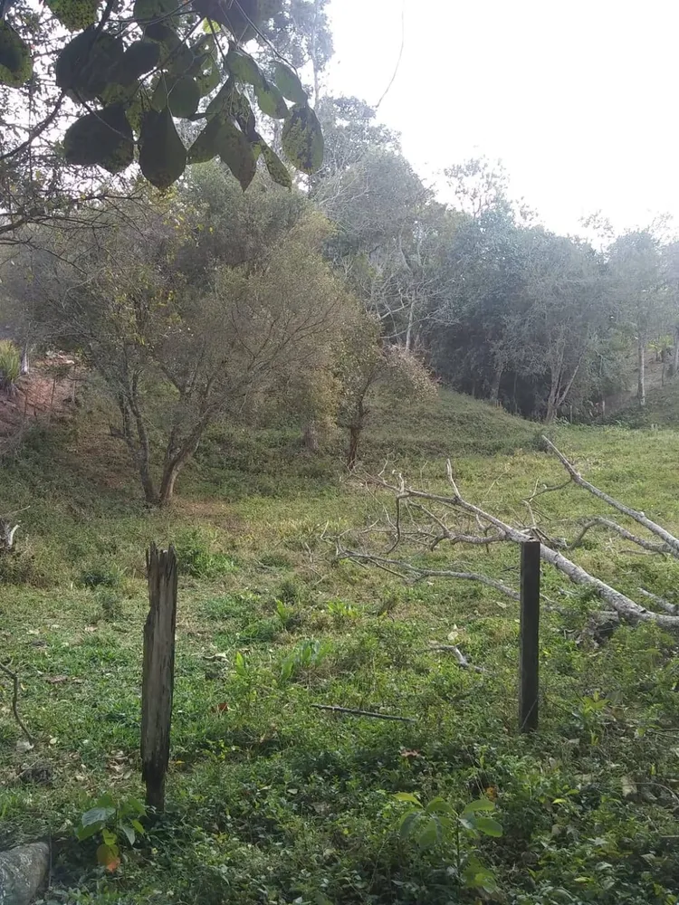 Chácara, 2 quartos, 3200 m² - Foto 4