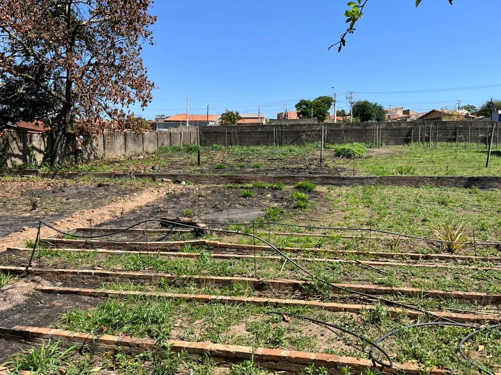 Terreno, 1630 m² - Foto 6