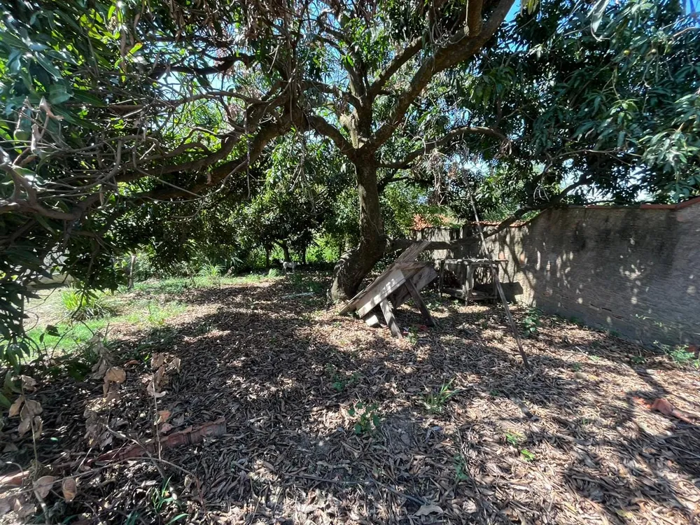Terreno, 1630 m² - Foto 2