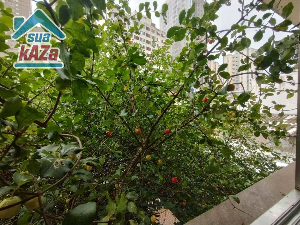 Casa, 4 quartos, 262 m² - Foto 15