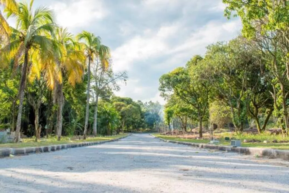 Terreno à venda - Foto 4