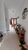 Sobrado, 4 quartos, 242 m² - Foto 4