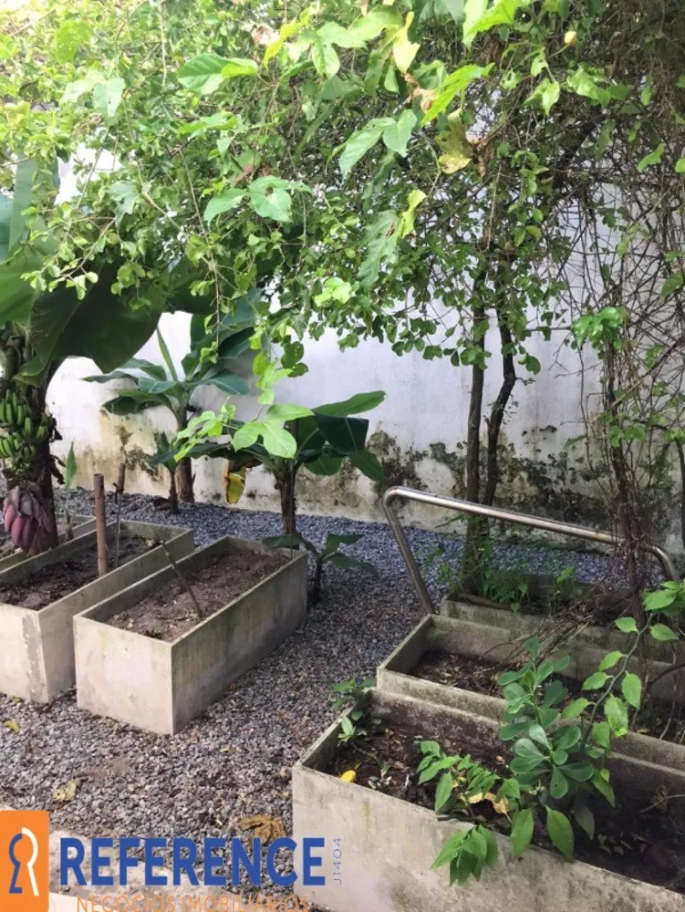 Casa, 4 quartos, 300 m² - Foto 4
