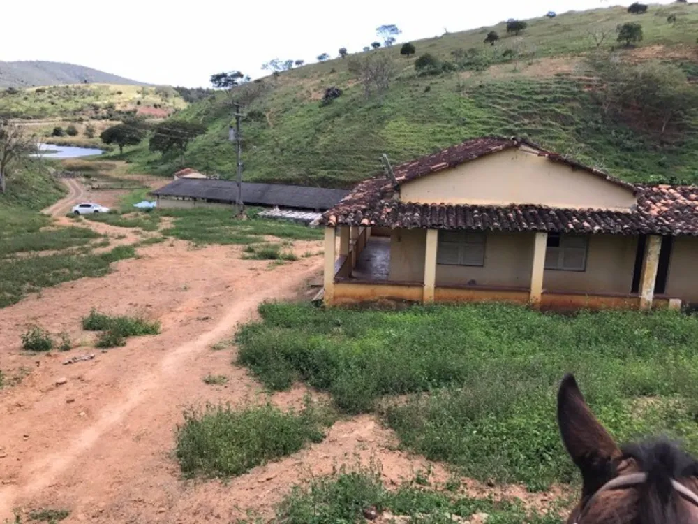 Fazenda, 4 quartos - Foto 1