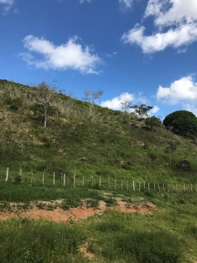 Fazenda, 4 quartos - Foto 3