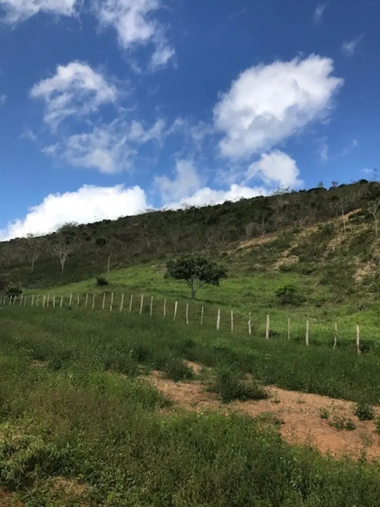 Fazenda, 4 quartos - Foto 2