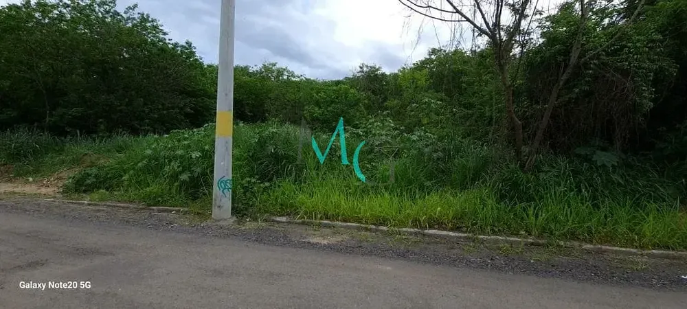Terreno, 1 hectares - Foto 8