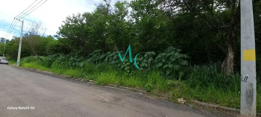Terreno, 1 hectares - Foto 16