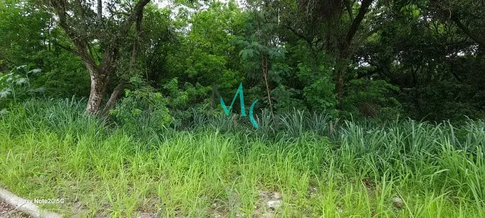 Terreno, 1 hectares - Foto 15