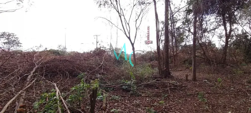 Terreno, 2400 m² - Foto 4