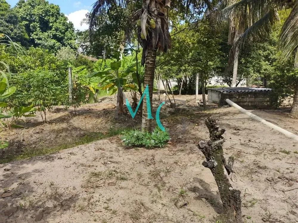 Terreno, 7339 m² - Foto 2