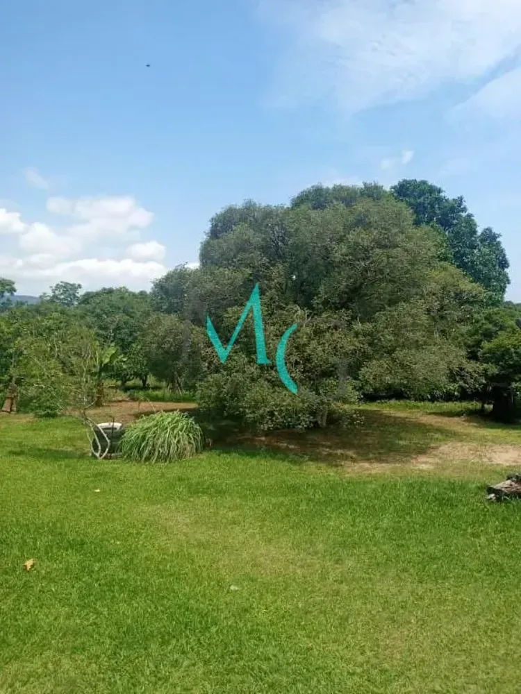 Terreno, 8 hectares - Foto 4