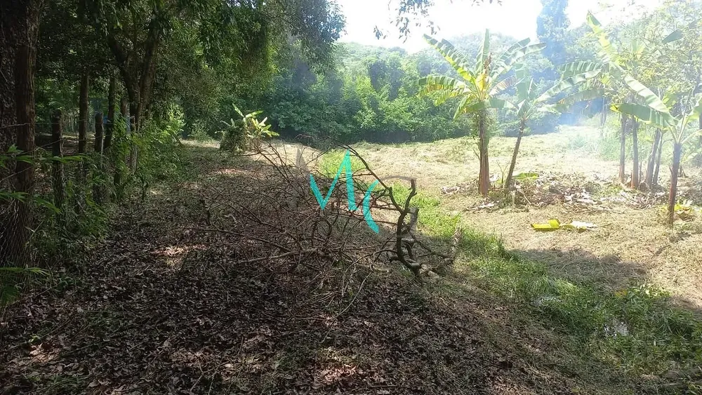 Terreno, 10000 m² - Foto 3
