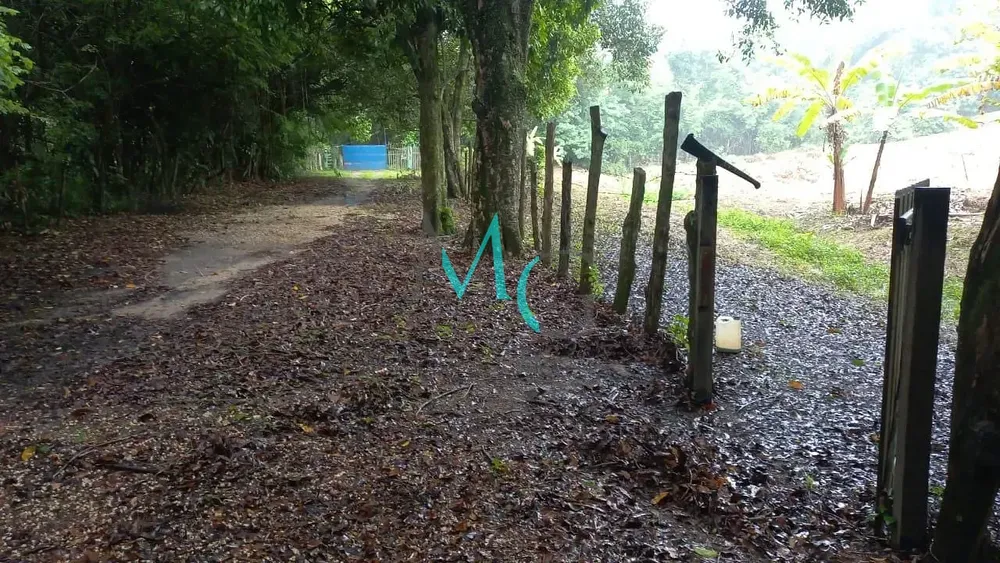 Terreno, 10000 m² - Foto 6