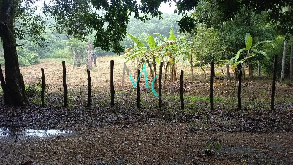 Terreno, 10000 m² - Foto 2