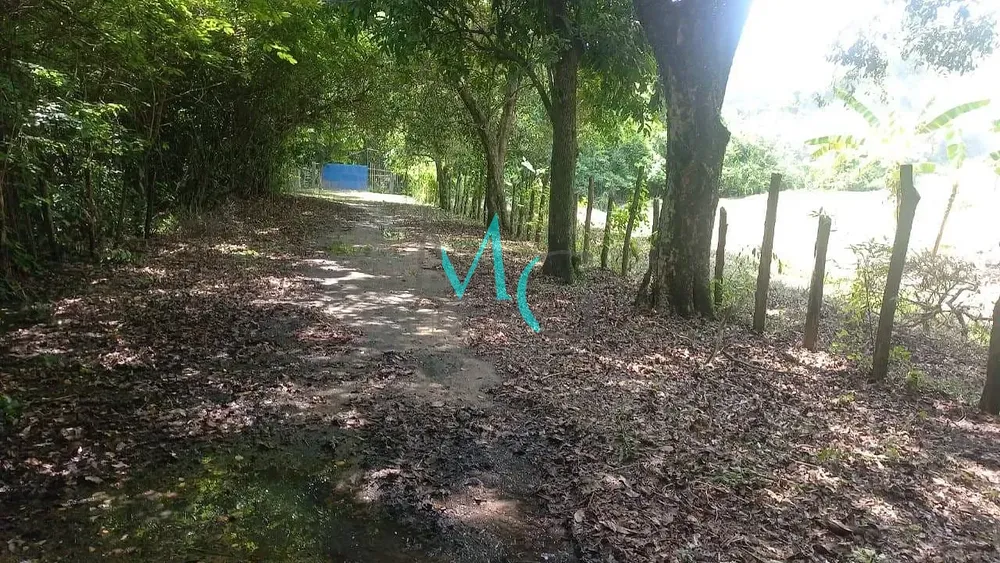 Terreno, 10000 m² - Foto 4