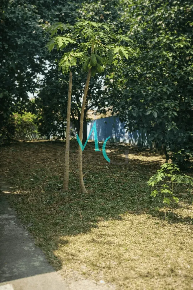 Casa, 4 quartos, 345 m² - Foto 6