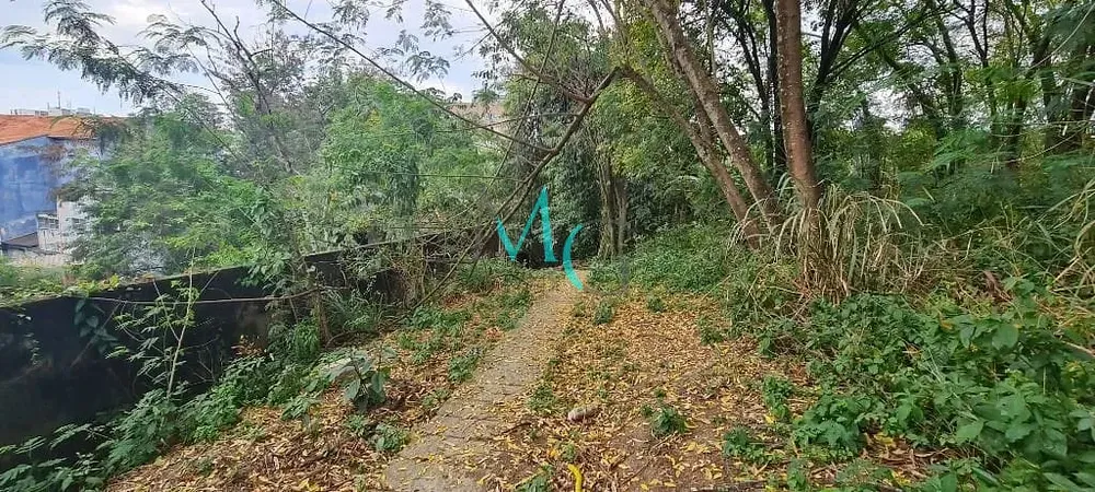 Terreno, 2227 m² - Foto 40