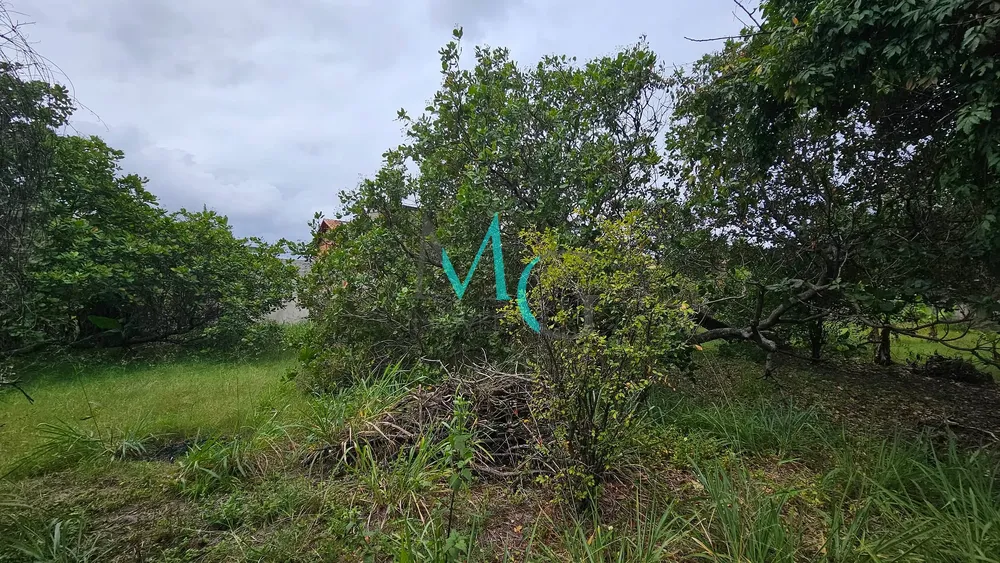 Terreno, 2000 m² - Foto 32