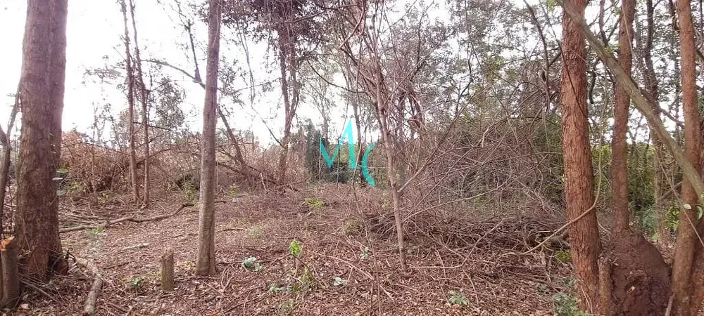 Terreno, 2400 m² - Foto 3