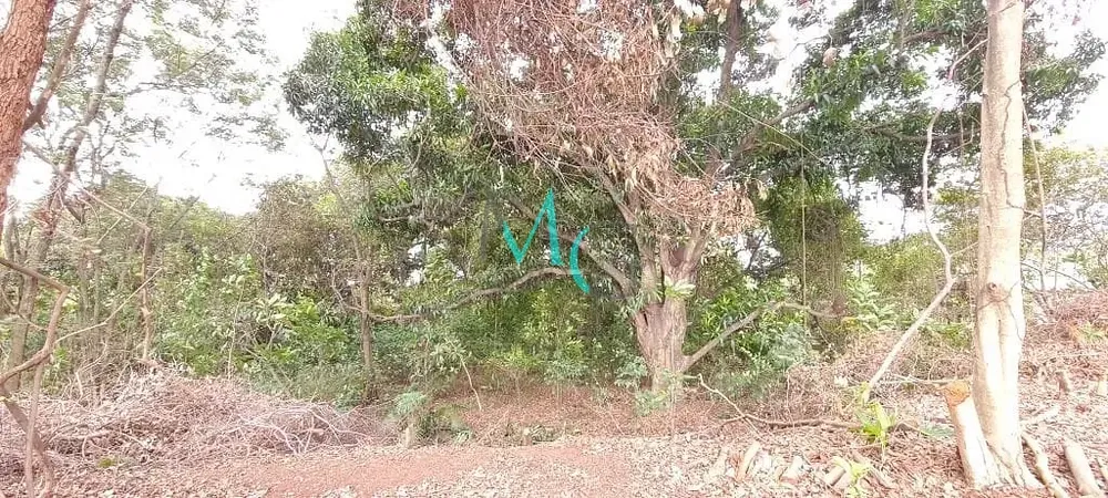 Terreno, 2400 m² - Foto 5