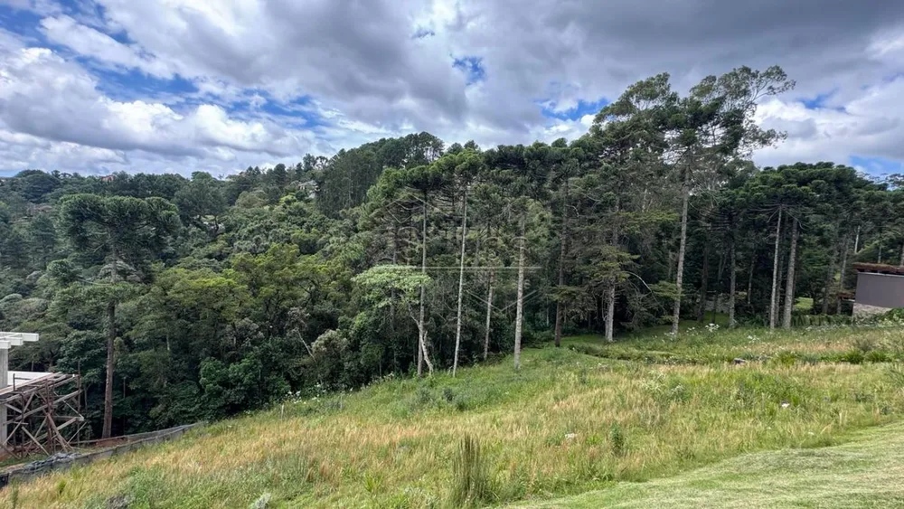 Terreno - Foto 4