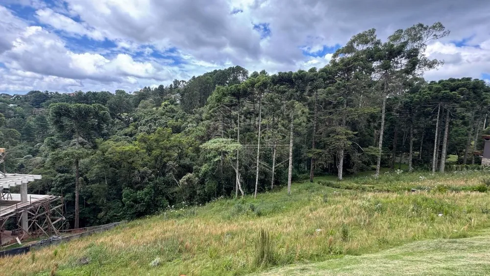 Terreno - Foto 1