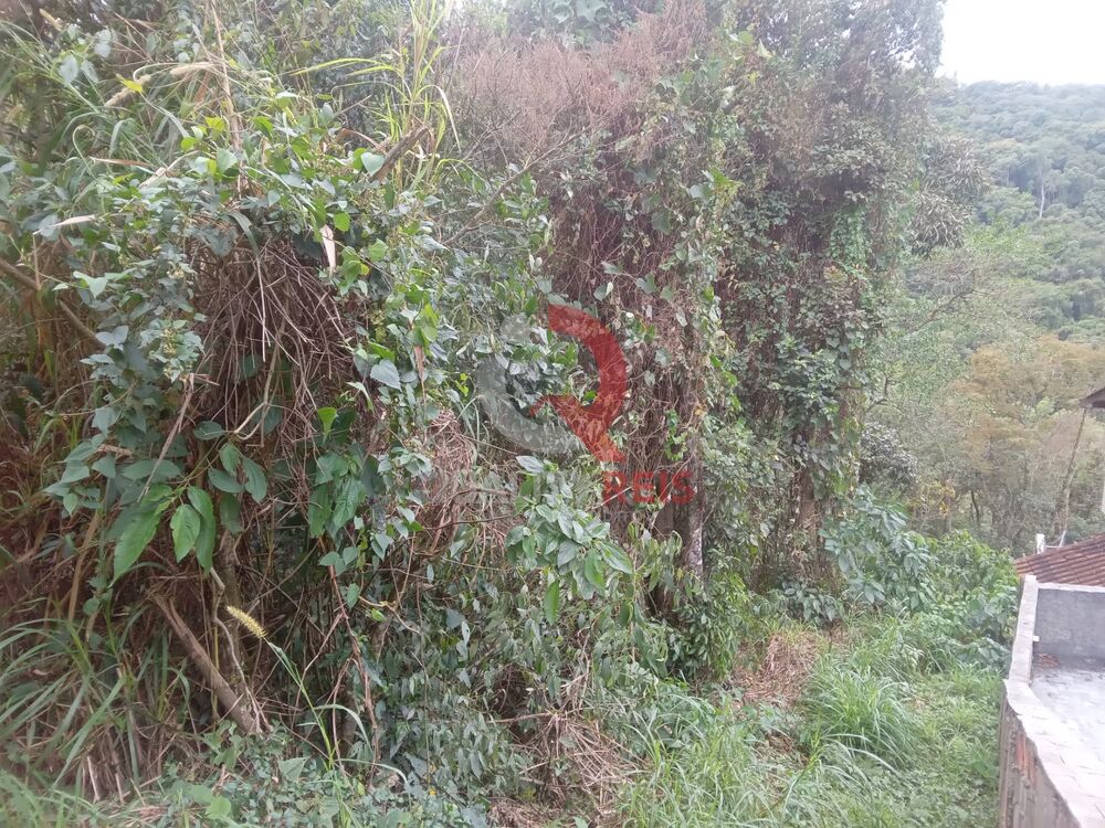 Terreno, 1087 m² - Foto 4