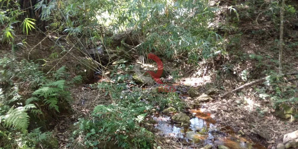 Terreno, 7 hectares - Foto 10
