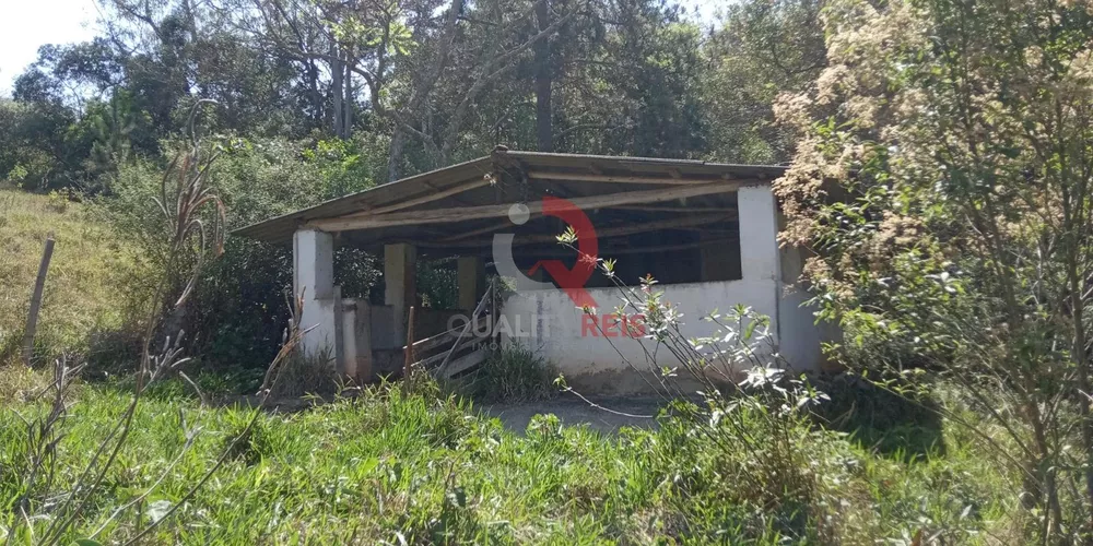 Terreno, 7 hectares - Foto 4