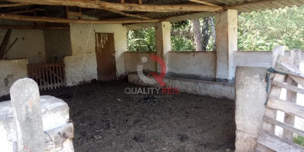 Terreno, 7 hectares - Foto 7