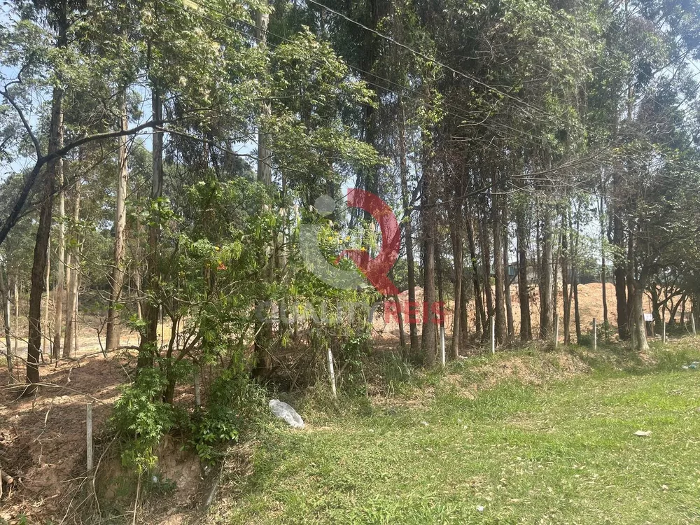 Terreno, 4 hectares - Foto 5