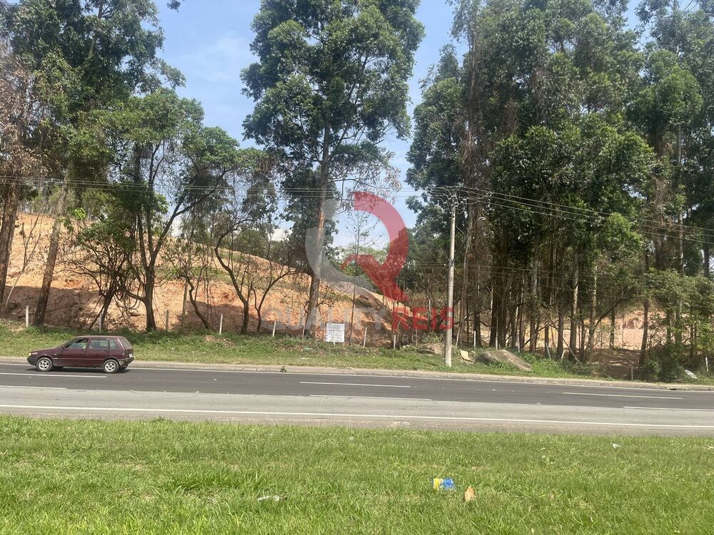 Terreno, 4 hectares - Foto 6