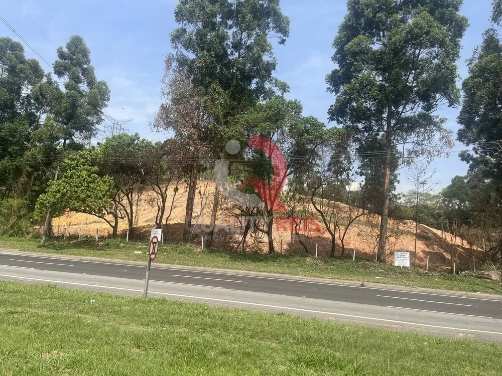 Terreno, 4 hectares - Foto 7
