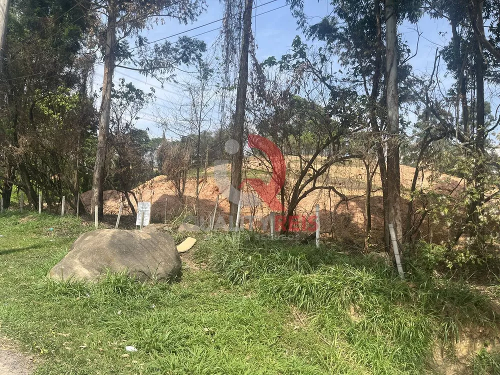 Terreno, 4 hectares - Foto 3