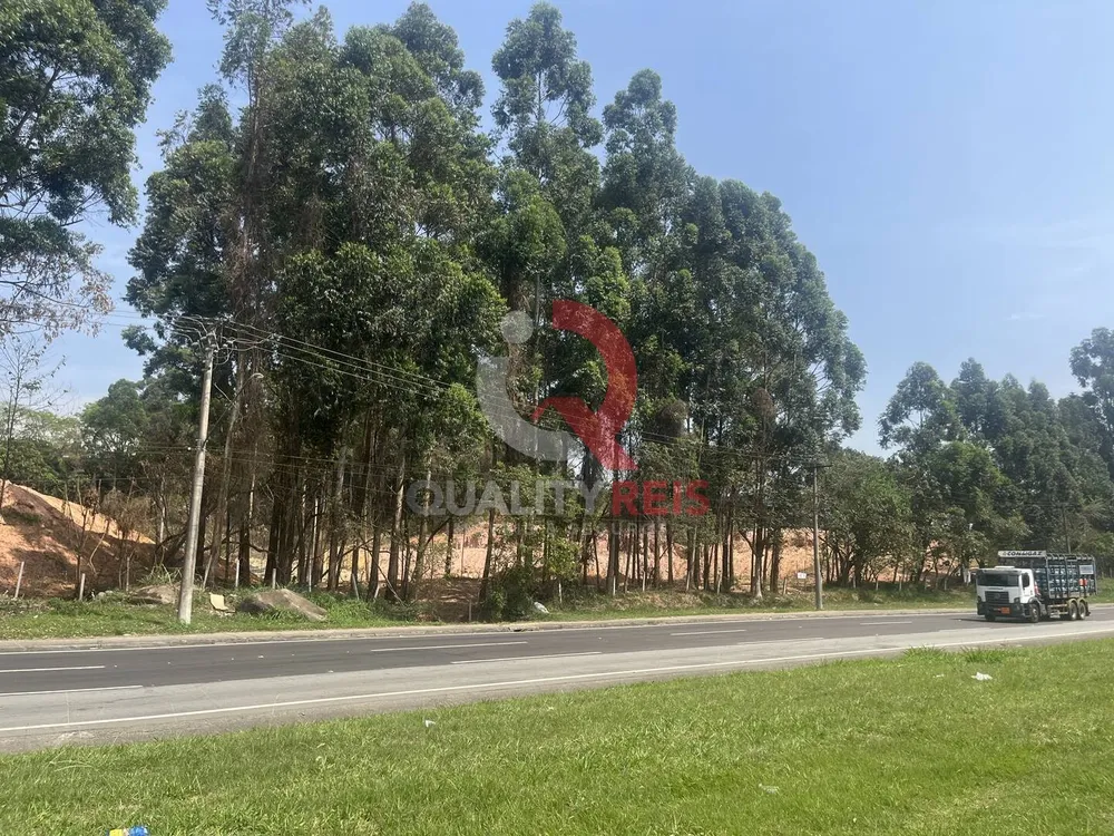 Terreno, 4 hectares - Foto 15