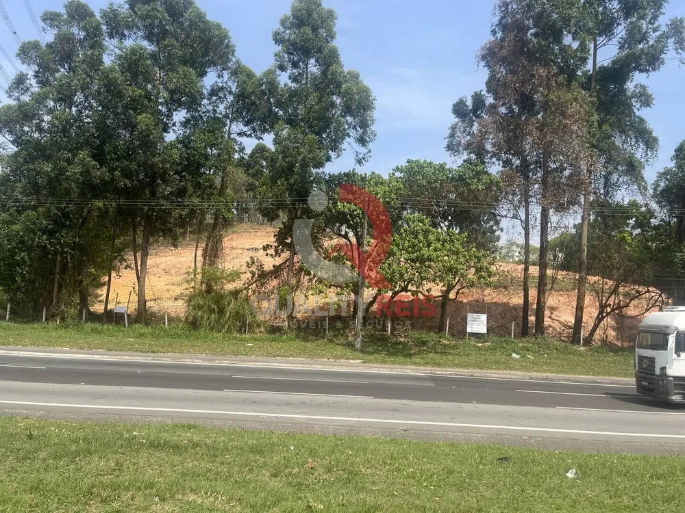 Terreno, 4 hectares - Foto 15