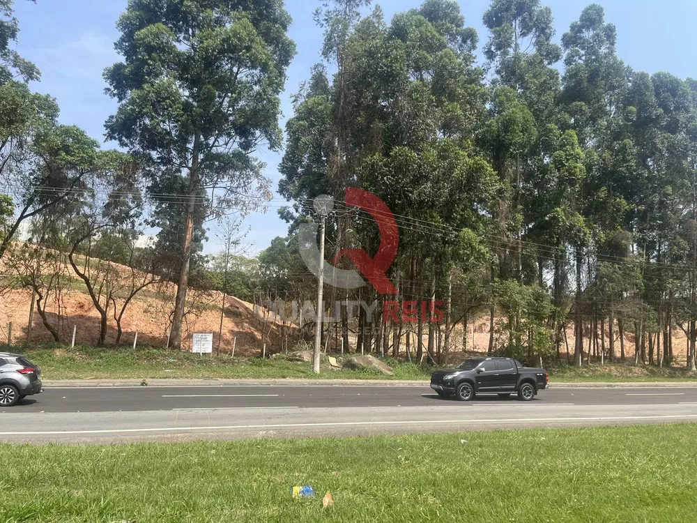 Terreno, 4 hectares - Foto 4